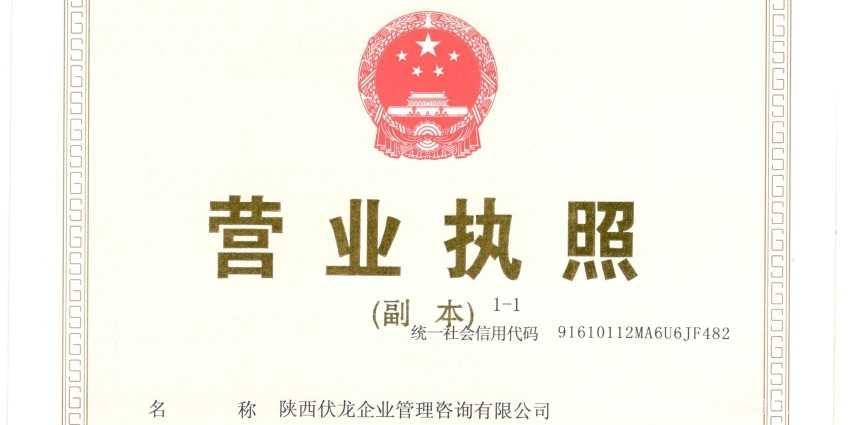 陕西伏龙企业管理咨询 匠心赋能，推动企业卓越发展